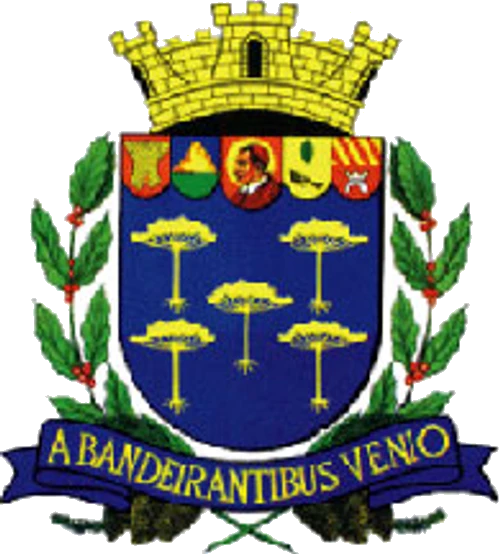Brasão de São Carlos/SP